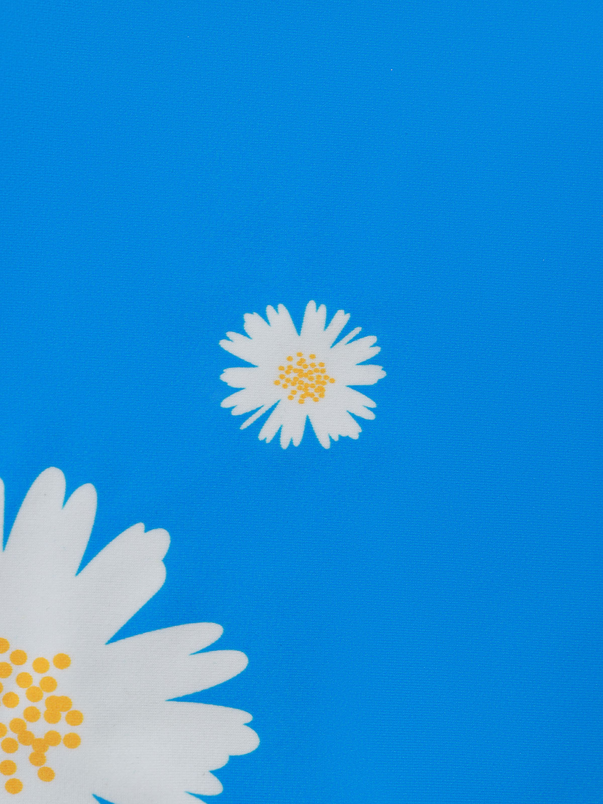 Daisy™ | Bikini Bottom
